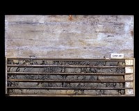 登錄號:C001351藏品圖，第2張