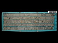 登錄號:C001352藏品圖，第1張