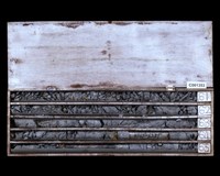 登錄號:C001353藏品圖，第2張