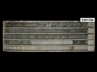 登錄號:C001354藏品圖，第1張