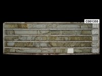 登錄號:C001355藏品圖，第1張