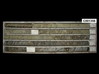 登錄號:C001356藏品圖，第1張