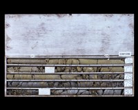 登錄號:C001356藏品圖，第2張