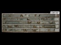 登錄號:C001357藏品圖，第1張