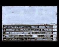 登錄號:C001359藏品圖，第2張