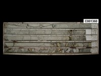 登錄號:C001360藏品圖，第1張