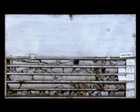 登錄號:C001360藏品圖，第2張