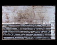 登錄號:C001364藏品圖，第2張