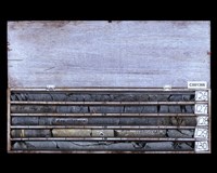 登錄號:C001366藏品圖，第2張