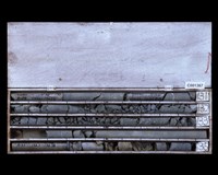 登錄號:C001367藏品圖，第2張