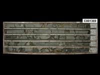 登錄號:C001369藏品圖，第1張