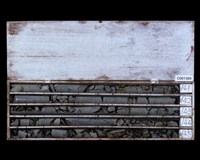 登錄號:C001369藏品圖，第2張