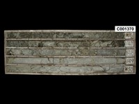 登錄號:C001370藏品圖，第1張