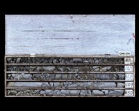 登錄號:C001370藏品圖，第2張