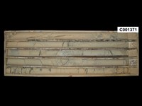 登錄號:C001371藏品圖，第1張