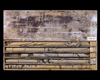 登錄號:C001371藏品圖，第2張