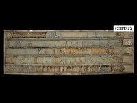 登錄號:C001372藏品圖，第1張