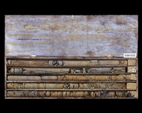 登錄號:C001372藏品圖，第2張