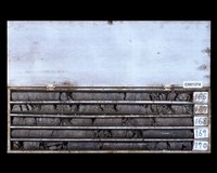 登錄號:C001374藏品圖，第2張