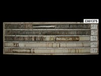 登錄號:C001375藏品圖，第1張