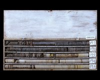 登錄號:C001375藏品圖，第2張