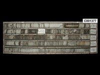 登錄號:C001377藏品圖，第1張