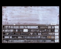 登錄號:C001377藏品圖，第2張