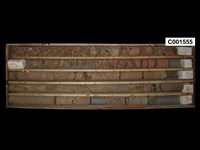 登錄號:C001555藏品圖，第1張