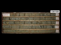 登錄號:C001558藏品圖，第1張