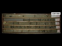 登錄號:C001560藏品圖，第1張