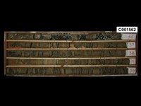 登錄號:C001562藏品圖，第1張