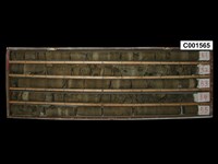 登錄號:C001565藏品圖，第1張