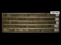 登錄號:C001566藏品圖，第1張