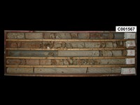 登錄號:C001567藏品圖，第1張