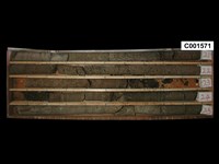 登錄號:C001571藏品圖，第1張