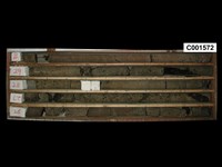 登錄號:C001572藏品圖，第1張