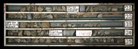 登錄號:C003649藏品圖，第1張