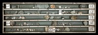登錄號:C003719藏品圖，第1張