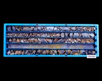 登錄號:C003864藏品圖，第1張