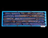 登錄號:C003871藏品圖，第1張