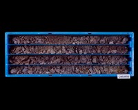 登錄號:C003955藏品圖，第1張