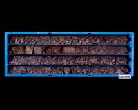 登錄號:C003956藏品圖，第1張