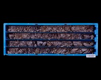 登錄號:C003957藏品圖，第1張