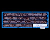 登錄號:C003961藏品圖，第1張