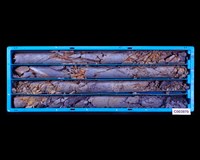 登錄號:C003970藏品圖，第1張