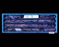 登錄號:C003975藏品圖，第1張