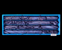 登錄號:C003977藏品圖，第1張