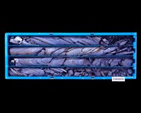 登錄號:C003978藏品圖，第1張