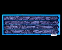 登錄號:C003980藏品圖，第1張