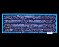 登錄號:C003981藏品圖，第1張